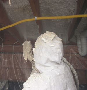 Cedar Rapids IA crawl space insulation
